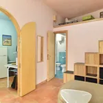 Rent 1 bedroom apartment of 48 m² in rome