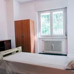 Rent a room in trento