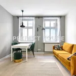 Rent 1 bedroom apartment of 31 m² in Poznan