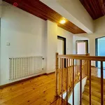 Rent 1 bedroom house of 200 m² in Zlín