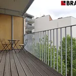 Rent 1 bedroom apartment in Brno