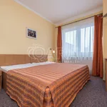 Rent 1 bedroom apartment in Prague