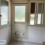 Affitto 4 camera appartamento di 110 m² in Palermo