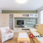 Rent 2 bedroom apartment in Capital City of Prague