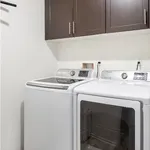 Rent 1 bedroom apartment in Nestor