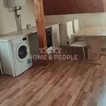 Rent 1 bedroom apartment of 50 m² in Plzeň