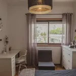 Rent 1 bedroom apartment in porto