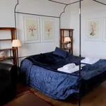 Rent 1 bedroom apartment in Florence