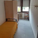 Rent 1 bedroom apartment of 28 m² in Padova