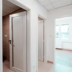 Rent 2 bedroom apartment of 48 m² in Jindřichův Hradec