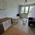 Rent 2 bedroom apartment of 30 m² in Gorzów Wielkopolski