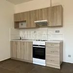 Rent 1 bedroom apartment in Nymburk