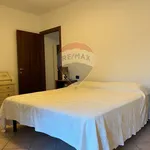 Rent 2 bedroom apartment of 60 m² in Reggio nell'Emilia