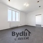 Pronájem bytu 2+1 45m²