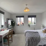 Rent 4 bedroom apartment in Bristol