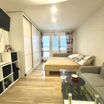 Pronajměte si 1 ložnic/e byt o rozloze 29 m² v Český Těšín