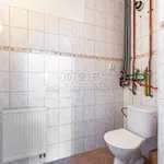 Rent 1 bedroom house of 120 m² in Praha