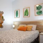 Rent 1 bedroom apartment in madrid