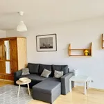 Rent 1 bedroom apartment of 33 m² in Poznan