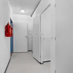 Rent 2 bedroom apartment of 33 m² in Slaný