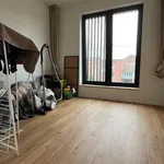 Rent 2 bedroom apartment in Tournai