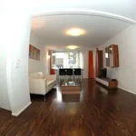 Rent 2 bedroom apartment of 1012 m² in Zurich