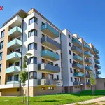 Rent 2 bedroom apartment of 52 m² in České Budějovice