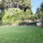 Rent 11 bedroom apartment of 450 m² in Rome