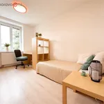 Rent 1 bedroom apartment of 20 m² in Brno-Žabovřesky