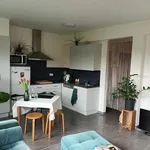 Rent 1 bedroom apartment in Leuven