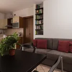 Rent 4 bedroom apartment of 60 m² in Seveso