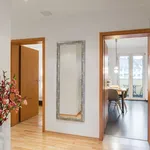 Rent 1 bedroom apartment of 56 m² in Dusseldorf