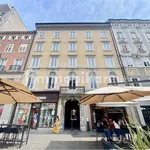 Rent 3 bedroom apartment of 110 m² in Triest