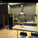 Rent 1 bedroom apartment of 35 m² in Lyon