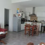 Rent 4 bedroom house of 75 m² in Albi