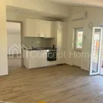 Rent 2 bedroom apartment of 50 m² in Roma