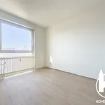 Appartement de 89 m² avec 5 chambre(s) en location à Bischheim