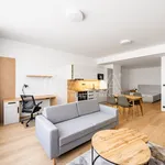 Rent 1 bedroom apartment in Prague