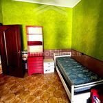 Rent 3 bedroom apartment of 85 m² in Campobasso