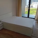 Rent 2 bedroom apartment of 45 m² in szczecin