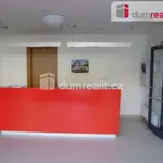 Rent 3 bedroom apartment of 78 m² in Prague