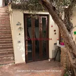 Rent 2 bedroom apartment of 40 m² in Cefalù