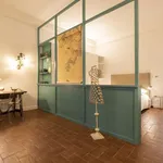 Rent 1 bedroom apartment of 55 m² in bologna