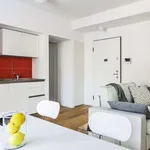 Rent 1 bedroom apartment in milan