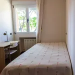 Rent a room in Madrid