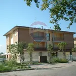 Rent 2 bedroom apartment of 55 m² in Reggio nell'Emilia