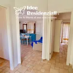 Rent 2 bedroom apartment in olbia