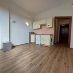 Rent 1 bedroom apartment of 20 m² in Capital City of Prague