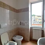 Rent 3 bedroom apartment of 60 m² in Genzano di Roma