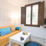 Rent 1 bedroom apartment in granada